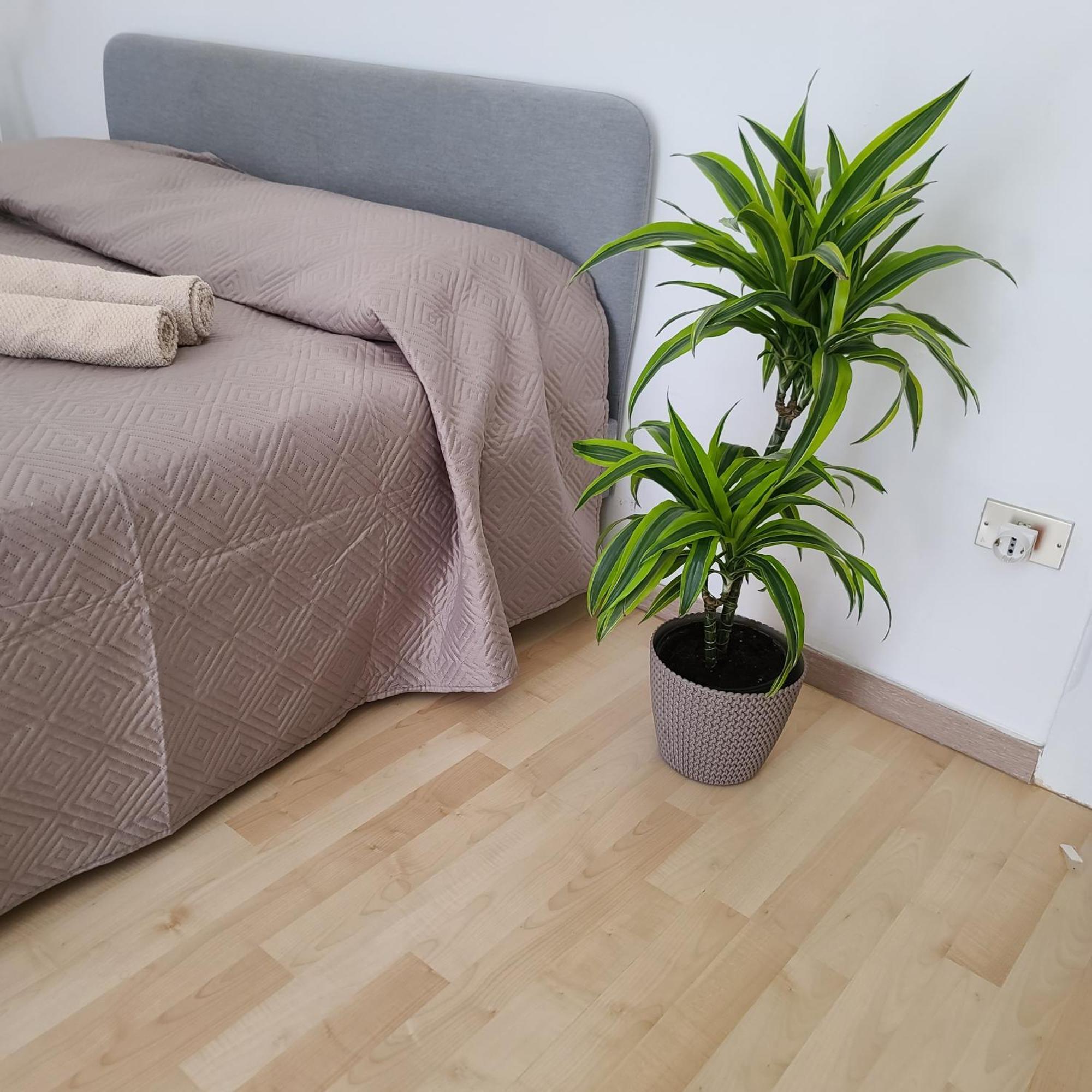 Mariamora Apartment Bari Exterior foto